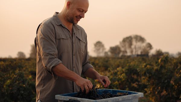 Three wine experts, including Master of Wine Konstantin Baum and Elias Lopez Montero of Bodegas Verum discuss the Vario wine climate cabinet Expressive series.