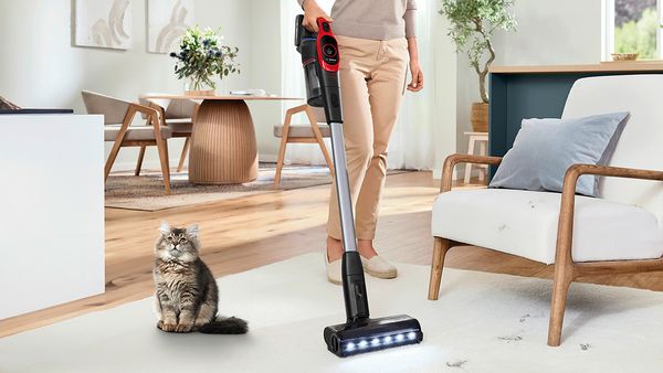 Eine Person nutzt einen roten Bosch Unlimited ProAnimal Akku-Staubsauger auf einem hellen Teppich in einem modern eingerichteten Wohnzimmer, w&auml;hrend eine getigerte Katze daneben sitzt. Im Hintergrund ist eine moderne, helle Einrichtung zu sehen.