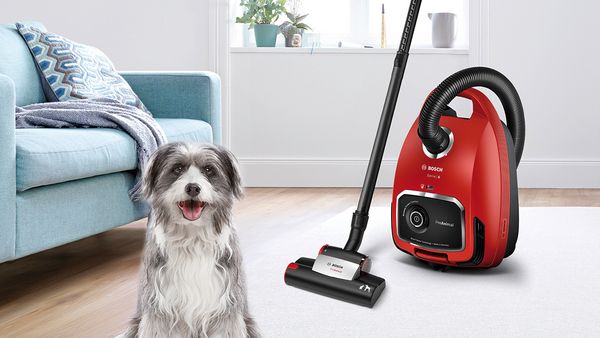 Ein roter Bosch Staubsauger der Serie 6 ProAnimal steht auf einem hellen Teppich in einem modern eingerichteten Wohnzimmer. Daneben sitzt ein freundlich blickender, grau-wei&szlig;er Hund.
