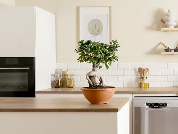 Ganz einfach: Sicher. Die Bosch Garantieverl&auml;ngerung.