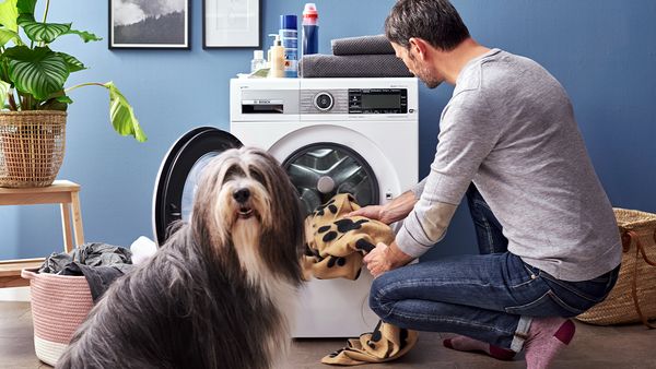 Mann legt Hundedecke in Bosch Waschmaschine mit Anti-Allergieprogramm gegen Hundehaarallergie. Neben ihm sitzt ein Hund.