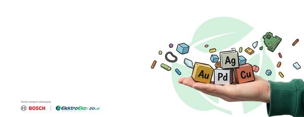 Ręka w zielonym rękawie trzyma kostki z przyprawami, obok wykresu z rosnącą zieloną strzałką.
