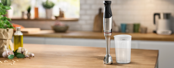 bosch ergomaster serie 6 el blenderı