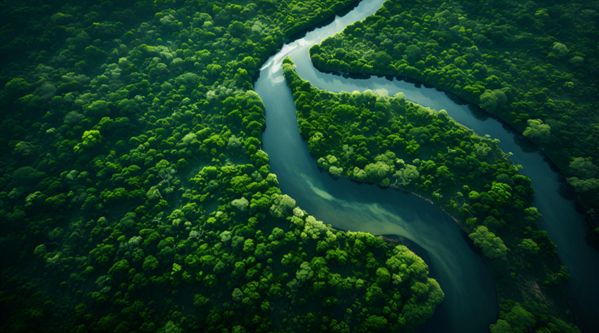 Vogelperspektive auf einen m&auml;andrierenden Fluss, der sich durch eine &uuml;ppig gr&uuml;ne, dicht bewaldete Landschaft schl&auml;ngelt.