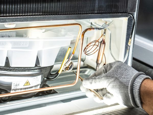 &Phi;&alpha;ί&nu;&epsilon;&tau;&alpha;&iota; έ&nu;&alpha;&sigmaf; ά&nu;&tau;&rho;&alpha;&sigmaf; &phi;&omicron;&rho;ώ&nu;&tau;&alpha;&sigmaf; &gamma;ά&nu;&tau;&iota;, &nu;&alpha; &kappa;ά&nu;&epsilon;&iota; &delta;&omicron;&kappa;&iota;&mu;έ&sigmaf; &sigma;&tau;&omicron; &epsilon;&sigma;&omega;&tau;&epsilon;&rho;&iota;&kappa;ό &tau;&omicron;&upsilon; &psi;&gamma;&epsilon;ί&omicron;&upsilon; &kappa;&iota; &tau;&omicron;&upsilon; &kappa;&iota;&nu;&eta;&tau;ή&rho;&alpha;.