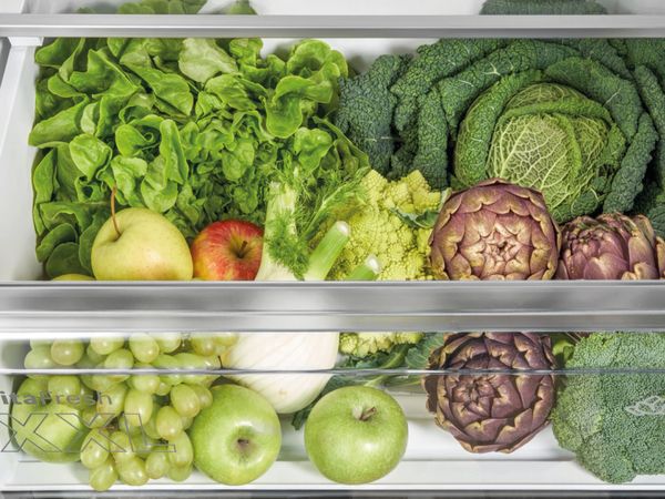 &Kappa;&omicron;&nu;&tau;&iota;&nu;ή &phi;&omega;&tau;&omicron;&gamma;&rho;&alpha;&phi;ί&alpha; &alpha;&pi;ό έ&nu;&alpha; &sigma;&upsilon;&rho;&tau;ά&rho;&iota; &psi;&upsilon;&gamma;&epsilon;ί&omicron;&upsilon; &mu;&epsilon; &lambda;&alpha;&chi;&alpha;&nu;&iota;&kappa;ά &kappa;&iota; &phi;&rho;&omicron;ύ&tau;&alpha; &sigma;&epsilon; &pi;&rho;ά&sigma;&iota;&nu;&epsilon;&sigmaf; &alpha;&pi;&omicron;&chi;&rho;ώ&sigma;&epsilon;&iota;&sigmaf;.