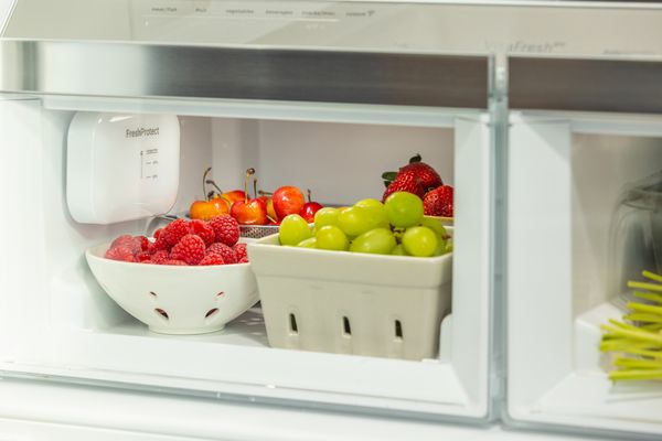 bosch vitafresh refrigerators fresh protect air filters