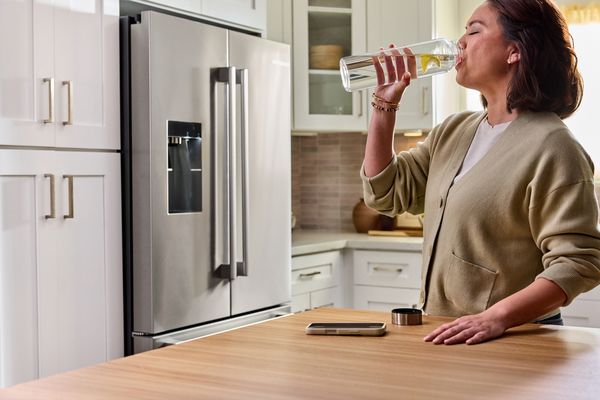 bosch refrigerator black stainless steel 