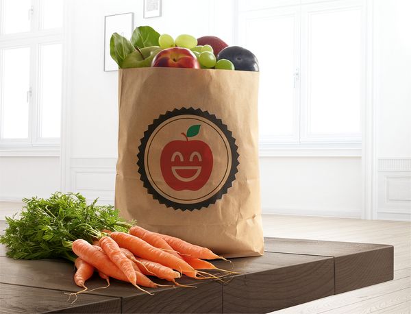 Paper Bag of Groceries ready to go into Fridge