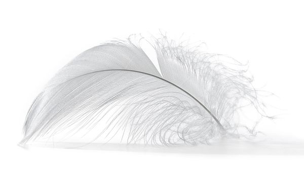 SensitiveDrying System