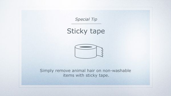 Use sticky tape to remove animal hair