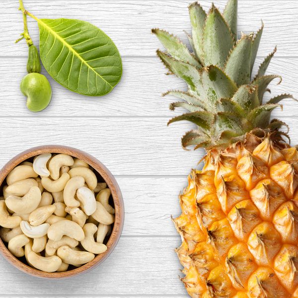Was haben Ananasfrüchte mit Cashewnüssen gemeinsam? 