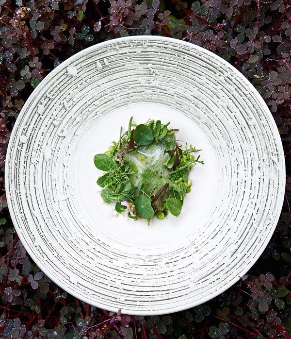 dish by danish chef jakob mielcke