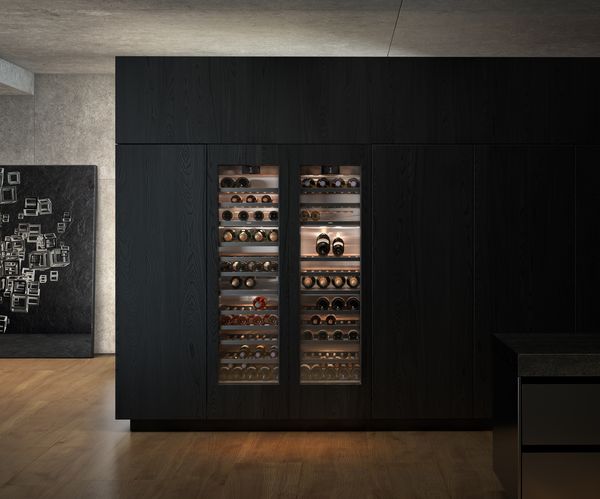 vario refrigerators 400 series double wine climate cabinets