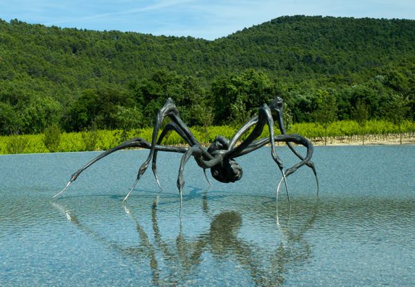louise bourgeois crouching spider item and fine wine in Provence