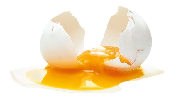 jak usunąć plamę: plamy z jajek