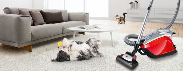 Bosch-ის მტვერსასრუტები: შეუნარჩუნეთ თქვენს სახლს იდეალური სისუფთავე