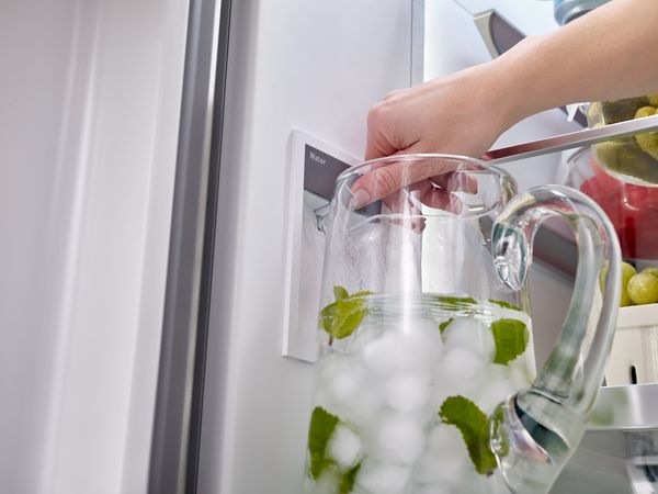 Bosch fridge water dispenser