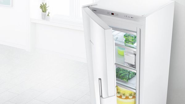 Quel modèle de frigo choisir ?