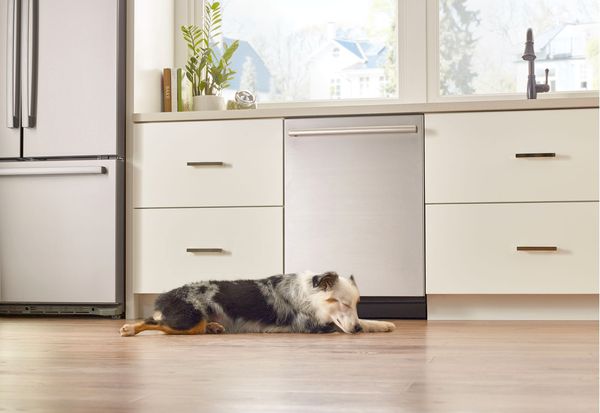 Quiet bosch dishwasher with dog sleeping