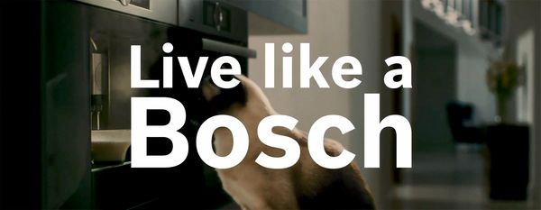 Like A Bosch with Cat and Built-In Coffee Machine