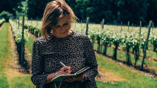 Сара Ебботт, володарка титулу Master of Wine, робить записи про вина на винограднику Simpsons у графстві Кент, Англія.