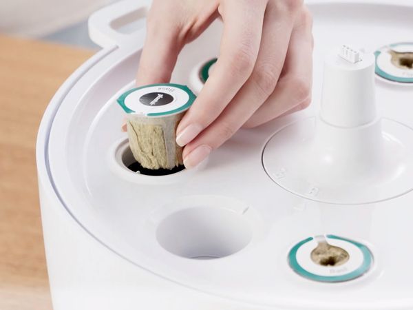 Huertos Domésticos de Interior Smart Grow BOSCH