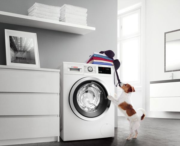 Which washing machine to buy for hygenically clean laundry.