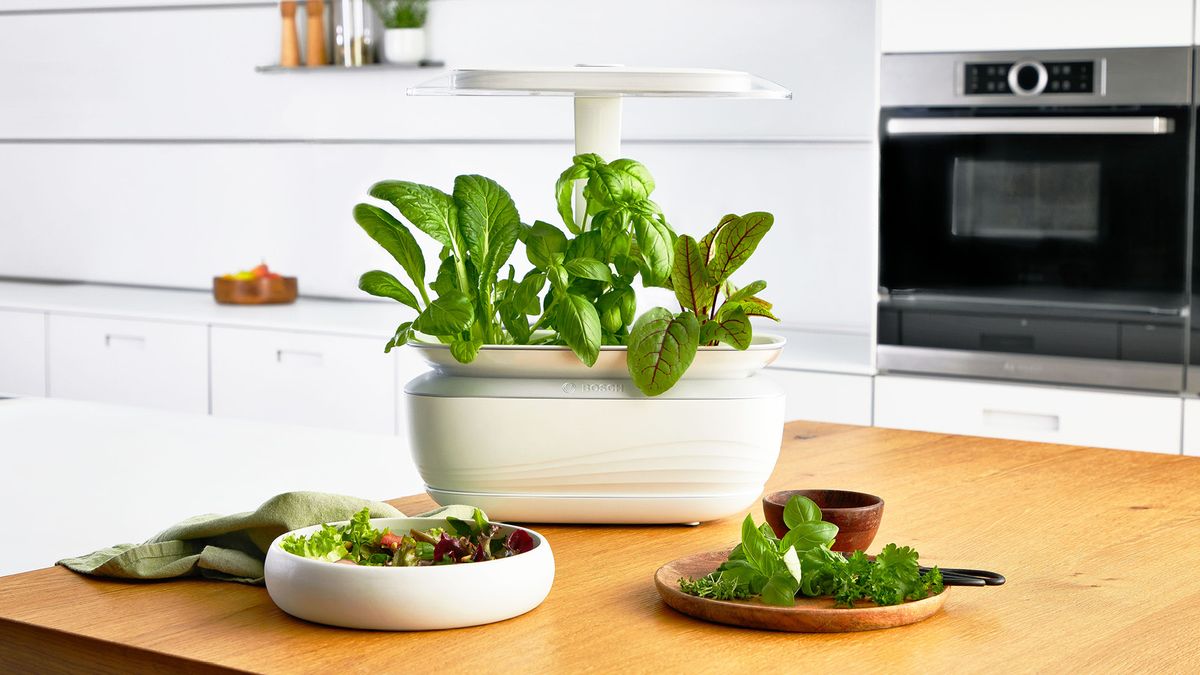 BOSCH - MSGP3L - Smart Indoor Gardening