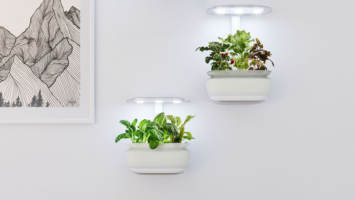BOSCH - MSGP3L - Smart Indoor Gardening