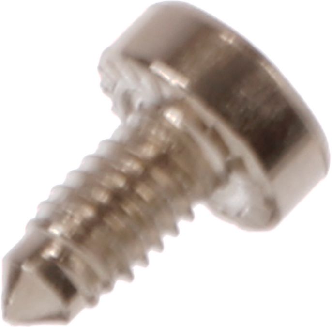 Screw M4x8/T20 Cr6frei for example for heater 10008509 10008509-2