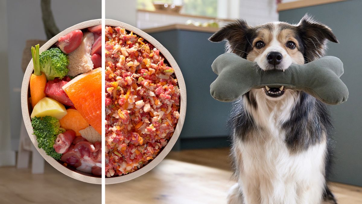 Serie 6 Köttkvarn MultiPower 2100 W Svart, silver metalic MFWS660B MFWS660B-17