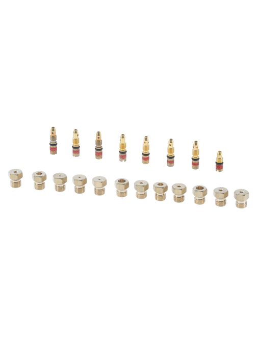 Nozzle set liquid gas BOLSA INYECT. GRAL. G30/50 mb. (SABAF) 00616029 00616029-1