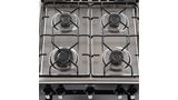 Serie 2 Cocina de gas de libre instalación PRO423 NG Negro HSG18N21SE HSG18N21SE-3