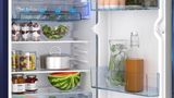 Series 4 free-standing fridge 114 x 53.8 cm CST18B23NI CST18B23NI-4