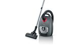 Bagged vacuum cleaner Home Professional Black BGL8PRO4 BGL8PRO4-1