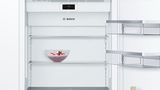 Benchmark® Built-in Bottom Freezer Refrigerator 30'' Flat Hinge B30IB900SP B30IB900SP-6