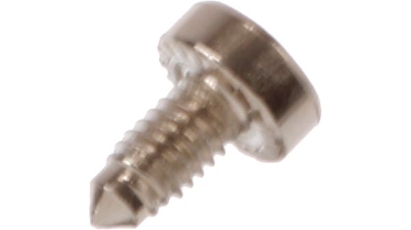 Screw M4x8/T20 Cr6frei for example for heater 10008509 10008509-2