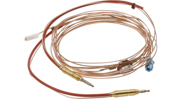 10014212 Thermocouple | Bosch US