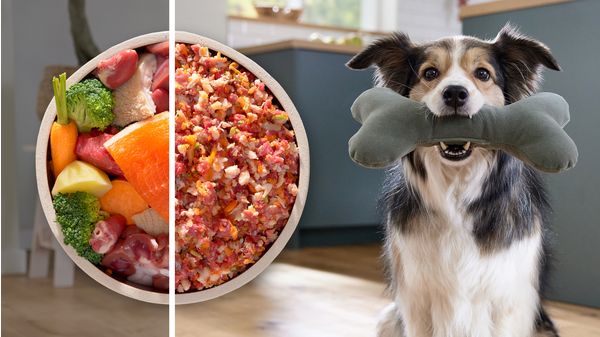 Serie 6 Köttkvarn MultiPower 2100 W Svart, silver metalic MFWS660B MFWS660B-17